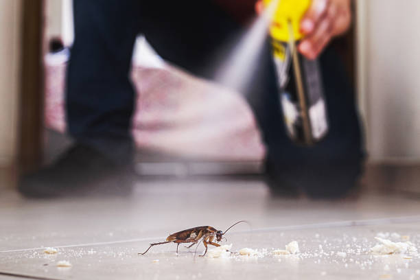 Best Rat Extermination Near Me  in Reinbeck, IA