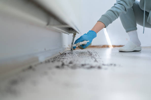 Best Pest Removal Services  in Reinbeck, IA